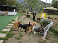 -趣多多宠物公园·宠物训犬学校·宠物寄养