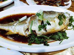 红烧大黄鱼-大丰收海鲜酒楼·专业餐饮30年(连云港老字号店)