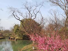 -西溪国家湿地公园