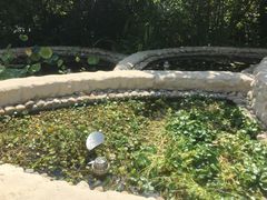 -活水公园