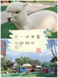 -萌宠亲子动物乐园(槐房万达店)