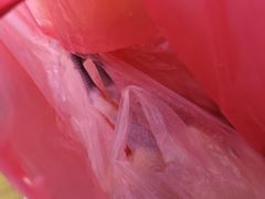 -无锡天鹏食品城