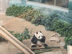 -大连森林动物园