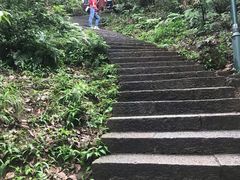 -西湖风景区十里琅珰-五云山