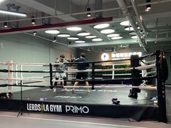 -花环泰拳·勒德斯拉泰拳馆(静安店)