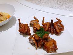 沙田乳鸽-宝燕壹号(徐汇店)