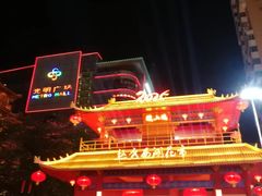 -越秀西湖花市(广州城市广场花卉店)
