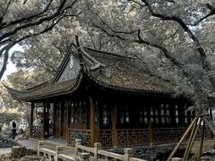 -上海醉白池公园