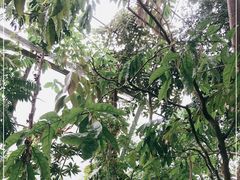 -北京植物园-展览温室