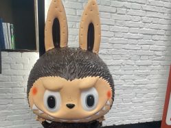 -亚太瑜伽普拉提学院