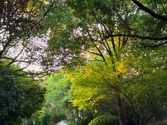 -南京市江宁方山
