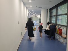 -奥体中心游泳馆