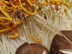 蘑菇蔬菜拼盘-东椰·海南椰子鸡火锅(朝阳门店)