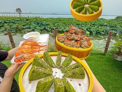 -七的湖·晚芳亭·阳澄湖农家菜·大闸蟹(莲花岛店)