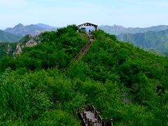 -大岭沟猕猴桃谷风景区