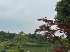 -牛首山文化旅游区