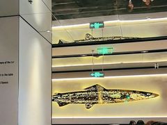 -炉鱼(无锡八佰伴中心店)
