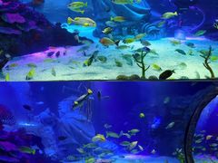 -沈阳海洋探索中心