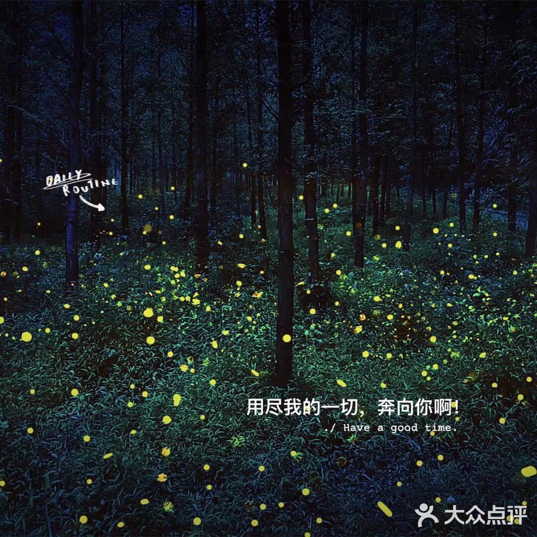 千岛湖小众旅游地推荐|夏天去看萤火虫呀