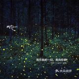 千岛湖小众旅游地推荐|夏天去看萤火虫呀