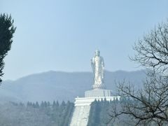 -中原大佛景区