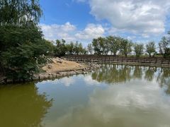 -盐城丹顶鹤湿地生态旅游区