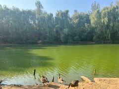-沈阳鸟岛