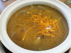 -杨记山珍鸡煲菌汤锅