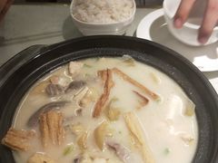 -南枝记