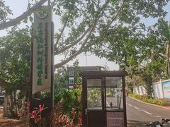 -东寨港红树林旅游区