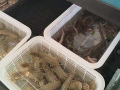 -渔家颂歌渔家味道(青石路店)