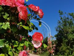 -名花谷生态庄园