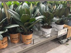-鹿岛生活(熙地港店)