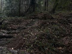 -宁波市保国寺古建筑博物馆