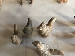 -北京动物园-畅观楼