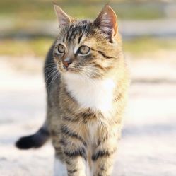 -V8潮牌·接发烫染连锁