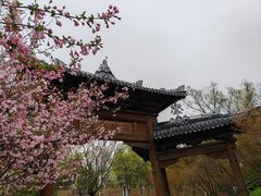 -茅山东方盐湖城景区