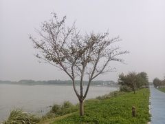 -阳澄湖半岛旅游度假区