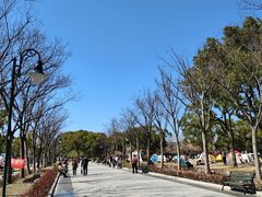 -新江湾城公园