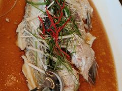 -丹江渔村(望京店)