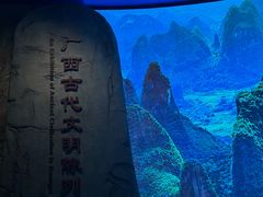 -广西壮族自治区博物馆