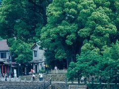 -古堰画乡景区