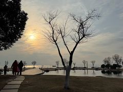 -滆湖低碳生态公园