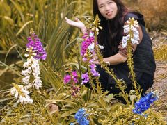 -人民公园(罗湖区)