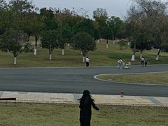 -盘龙城国家考古遗址公园