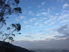 -花竹村