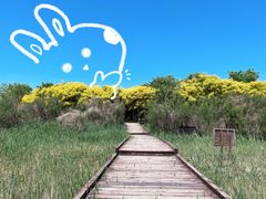 -西青郊野公园