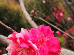 -艾溪湖湿地公园