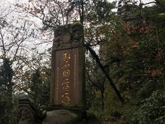 -青城山