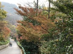-幕燕滨江·长江观音景区
